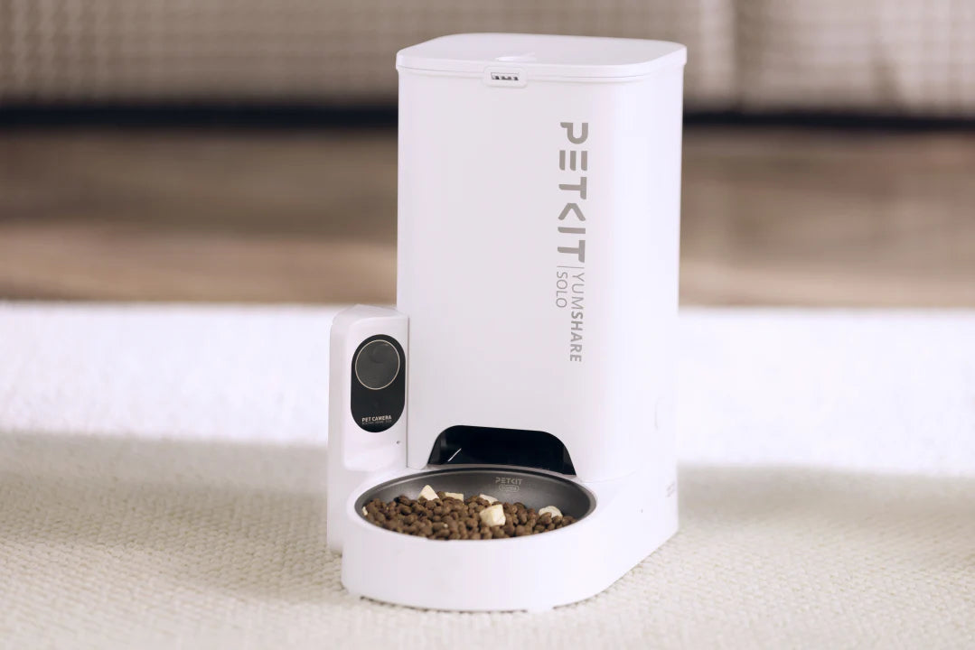 PAWS OF CADIZ – Distribuitor Automat de Hrană cu Cameră AI